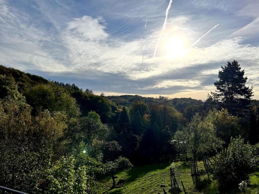 Forest Retreat- Serene 160M2 With Forest Views Wermelskirchen Eksteriør bilde